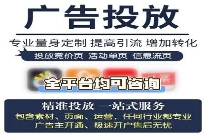 解析某某SEM服务公司的广告投放策略与效果评估